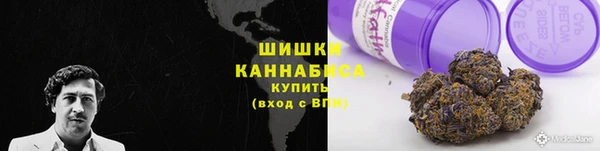 мяу мяу мука Белокуриха