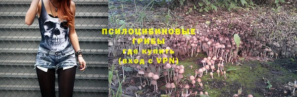 молекула духа Беломорск